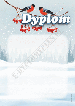 Dyplom Zimowy
