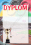 Dyplom sportowy