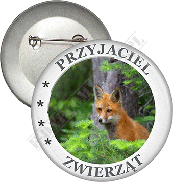 Przypinka 