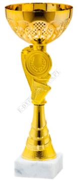 Puchar 23 cm złoty