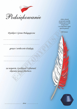 Wkładka do etui 