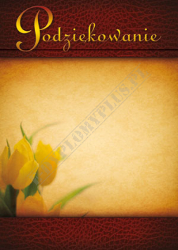 Podziękowanie