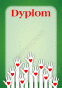 Dyplom wolontariusza