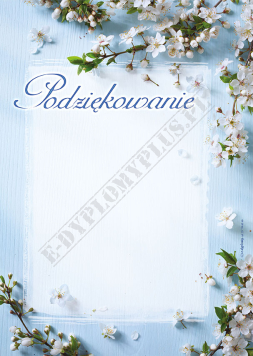 Podziękowanie