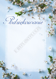 Podziękowanie