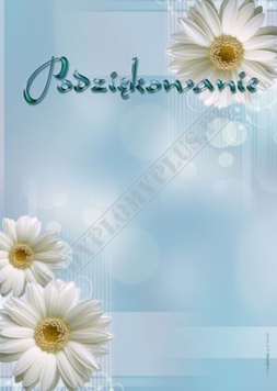 Podziękowanie