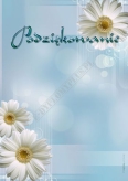 Podziękowanie